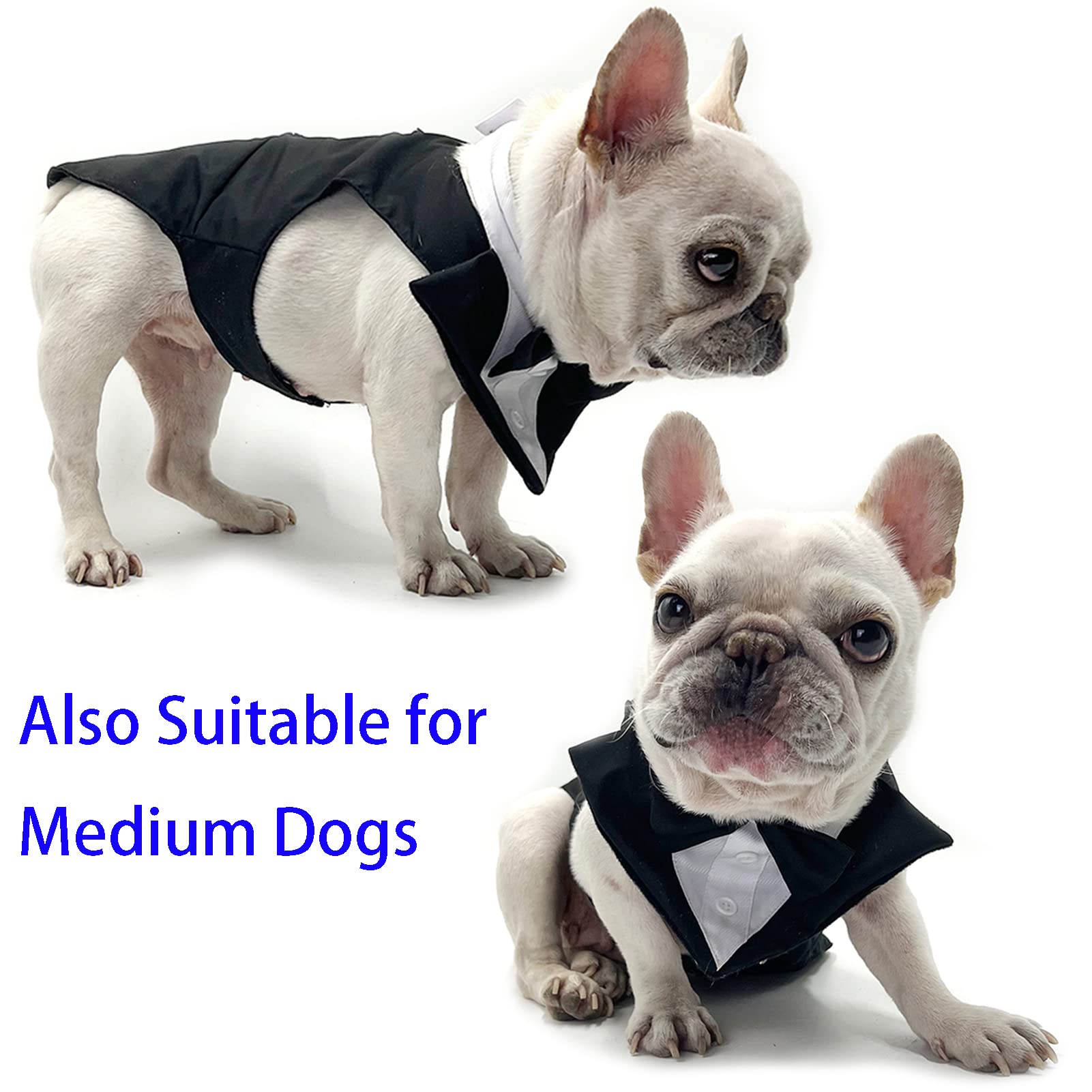 Dog Tuxedo & Bandana Set - Formal Wedding Suit for Small to Large Dogs (Black) for Pet Weddings & Parties