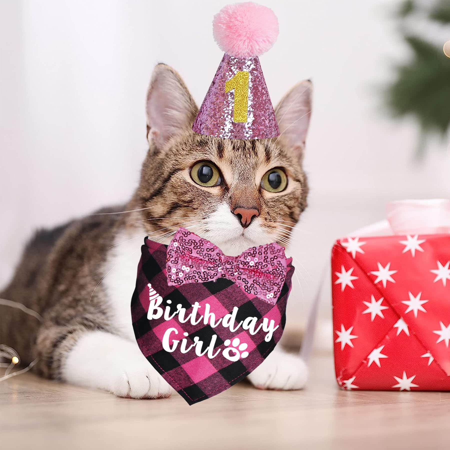 Cat Birthday Party Supplies & Outfits - Bandanas, Hat, Bow Tie for Kitten Birthday Decor (Pink) - Perfect for Pet Celebrations