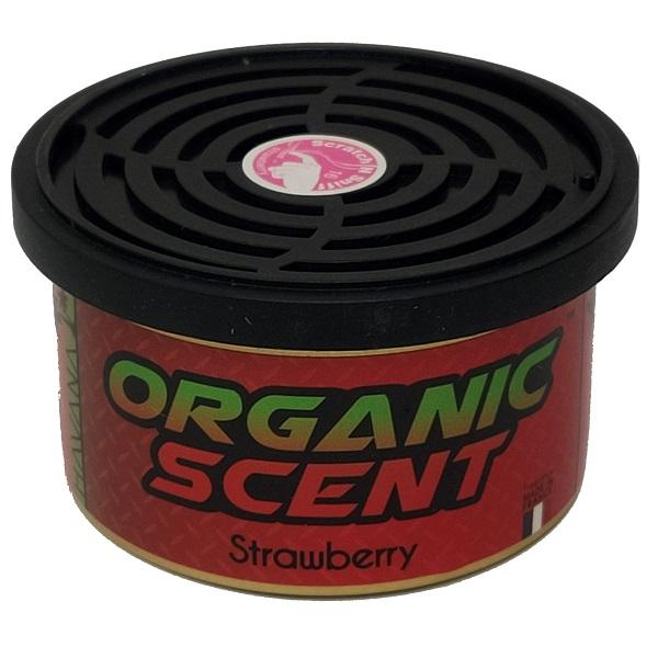 Premium Organic Car Air Fresheners - Natural & Long-Lasting Fragrance for Fresh Car Interior | Perfect for Daily Commute, Road Trips & Family Travel