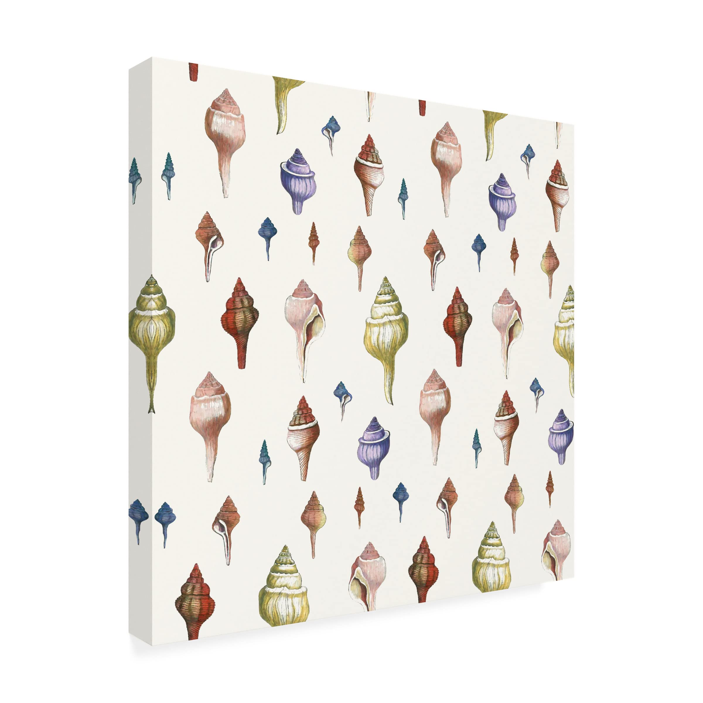 Trademark Fine Art 'Spiral Shells' Canvas Wall Art Print by Cora Niele - Perfect for Living Room, Bedroom & Office Decor