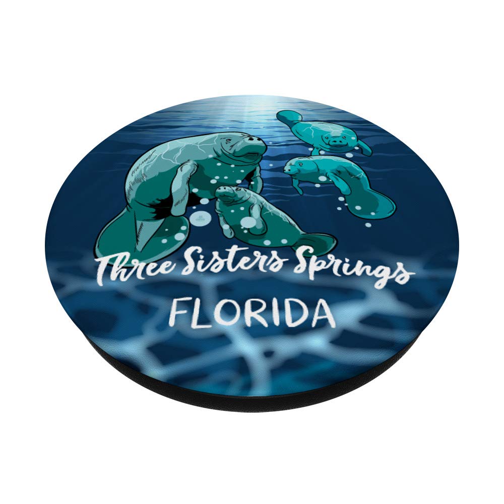 Three Sisters Springs Manatee Florida PopSockets - Phone Grip & Stand for iPhone, Samsung, Tablets - Perfect Travel & Outdoor Gift for Men & Women