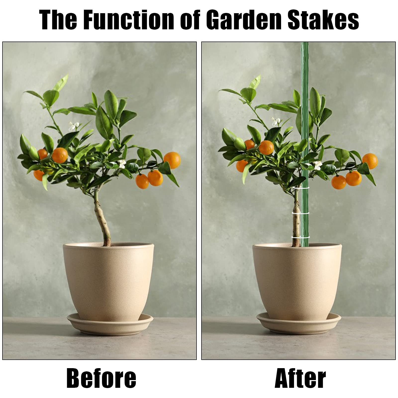 FEED GARDEN 30 Inch (2.5ft) Garden Stakes - 25 Pack Metal Plant Supports with Plastic Coating for Tomatoes, Beans & Trees | Heavy Duty Plant Stakes for Outdoor Gardening & Vegetable Support