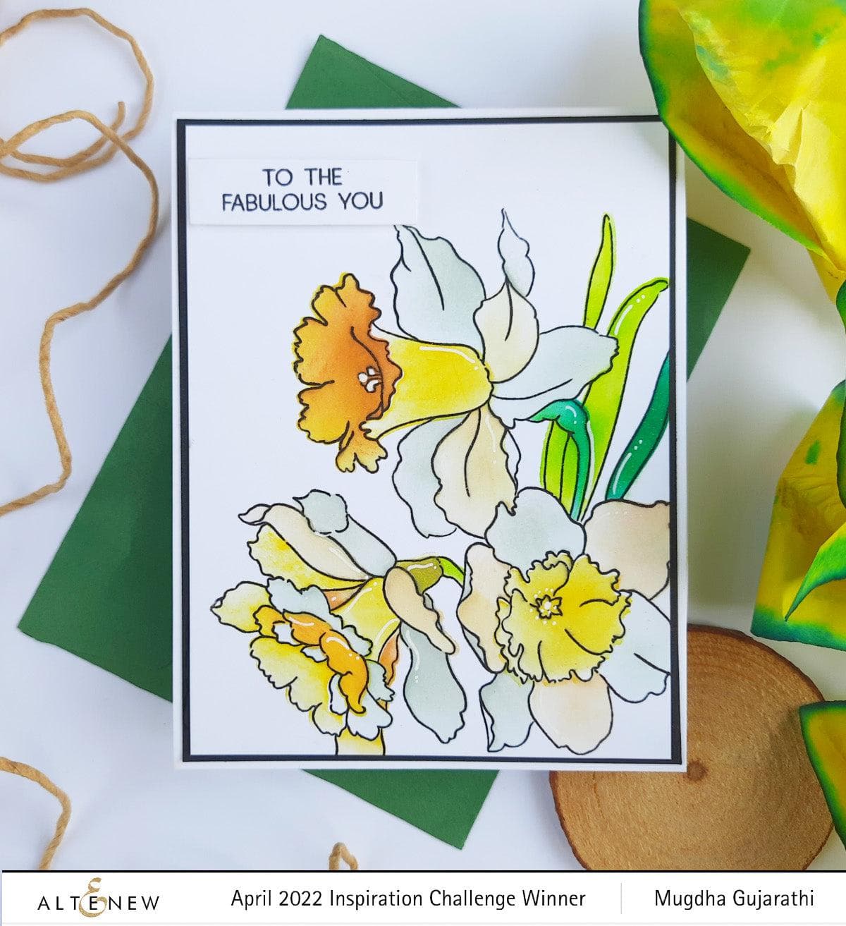 Daffodil Bulbs for Planting - Fresh Flowering Bulbs for Spring Garden, Landscaping & Outdoor Decor | Perfect for Home Gardens, Flower Beds & DIY Landscaping Projects