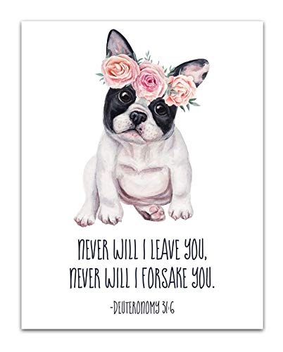 31:6 - French Bulldog