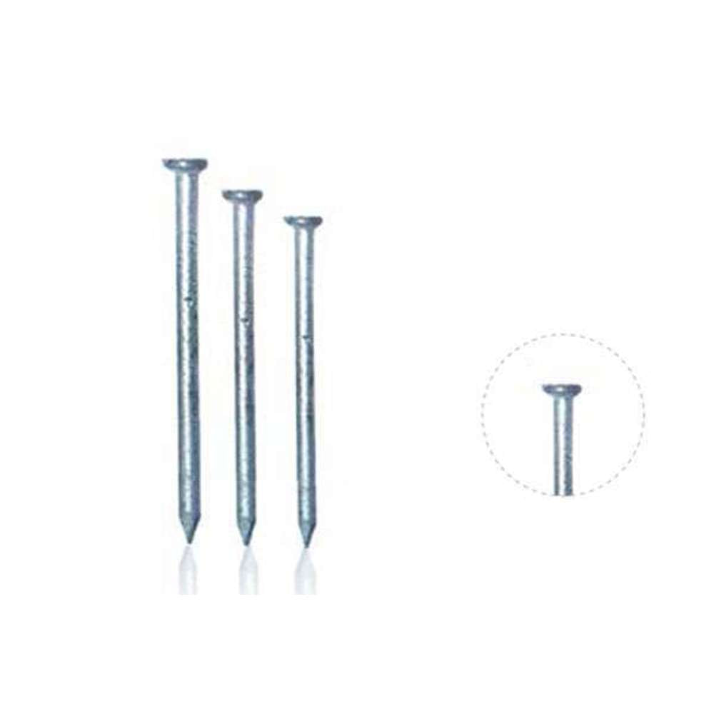 75mm Flat Head Galvanized BIL Nails (1kg Pack) - Ideal for Roofing, Fencing, and Woodworking Projects