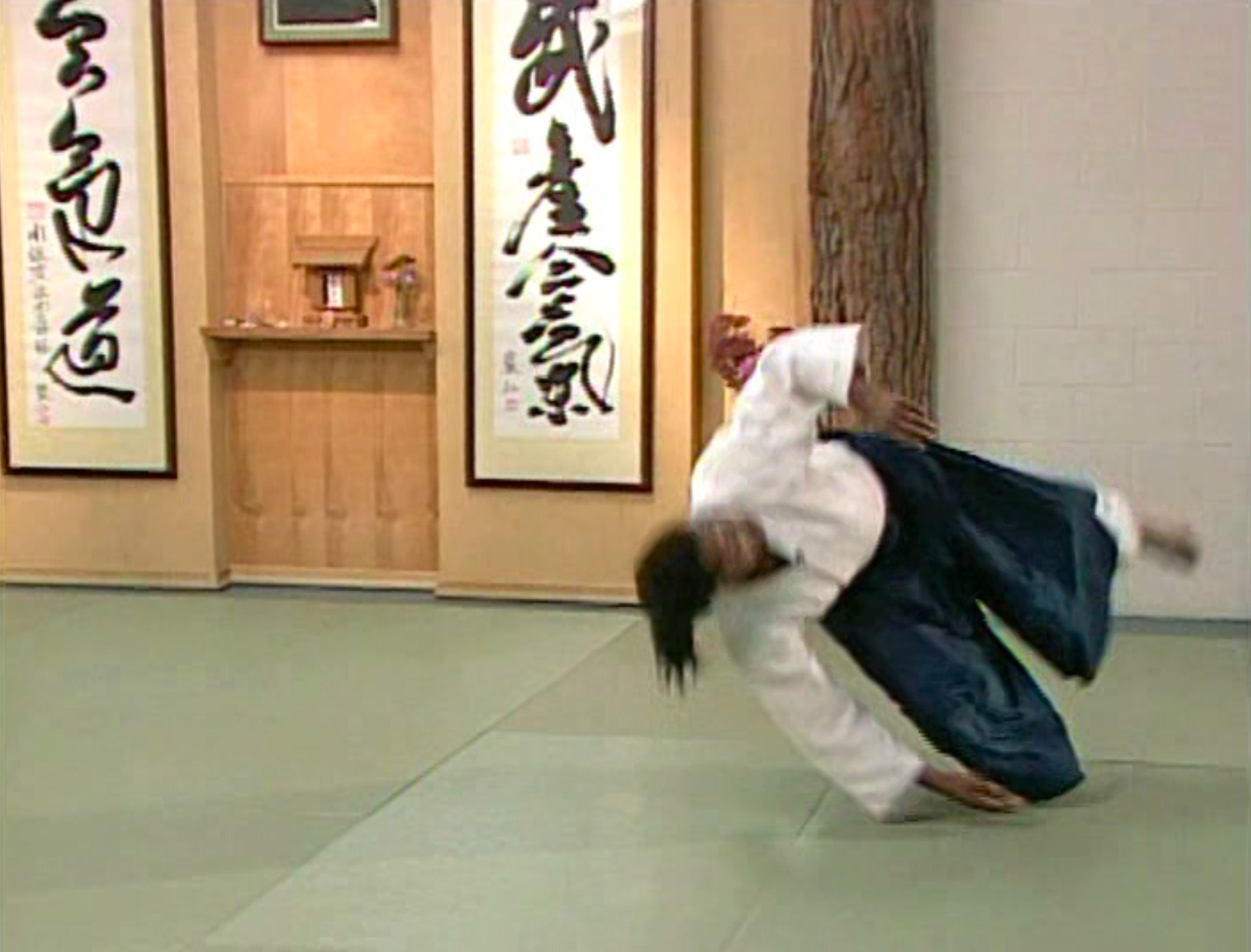 Preowned Aikido Ukemi 1: Meeting the Mat DVD by Donovan Waite - Learn Falling Techniques for Martial Arts Training & Self-Defense Practice
