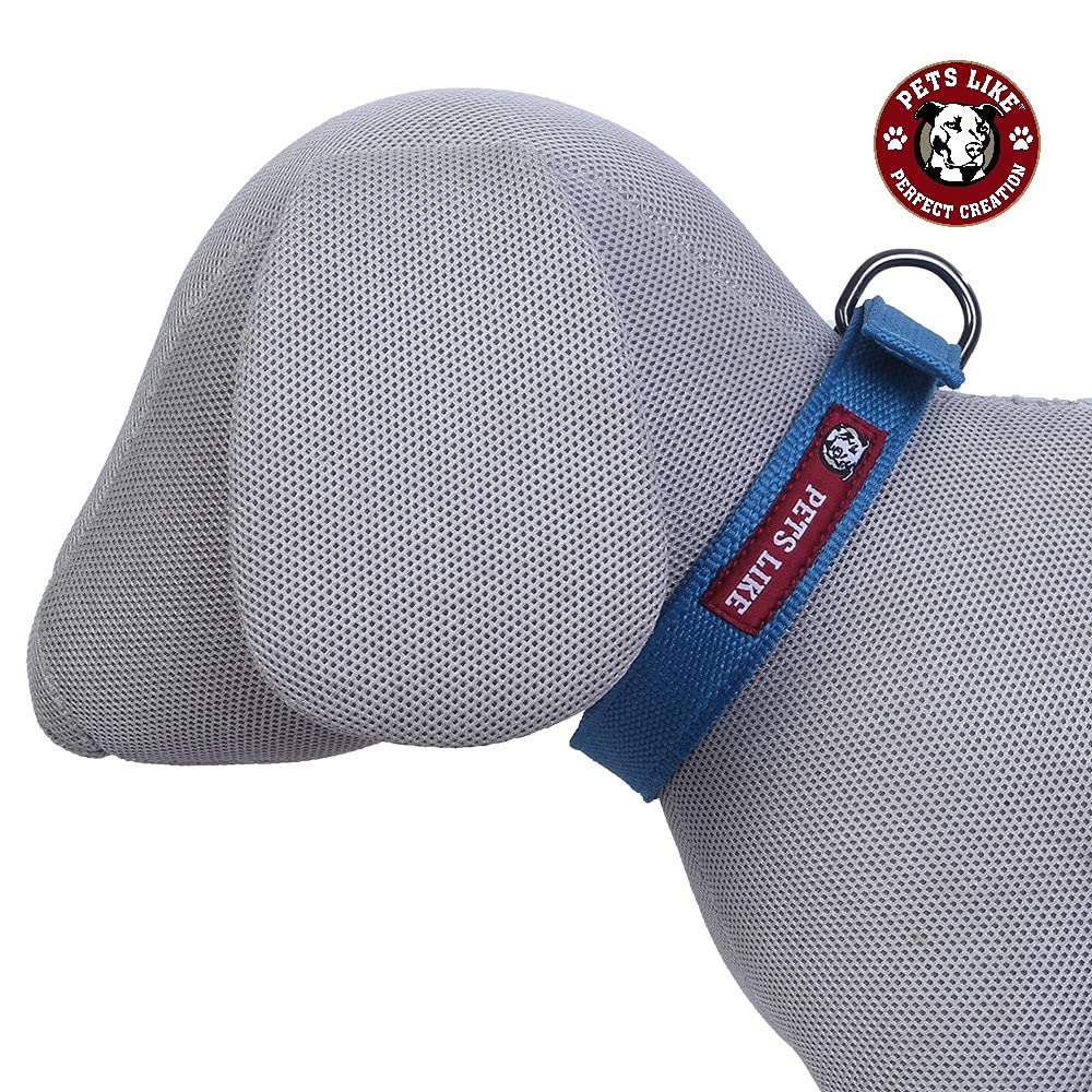 **Perfect Creation Pet Collar - Sky Blue, 20mm Width - Comfortable & Durable Dog Collar for Small to Medium Dogs - Ideal for Daily Walks & Outdoor Adventures**