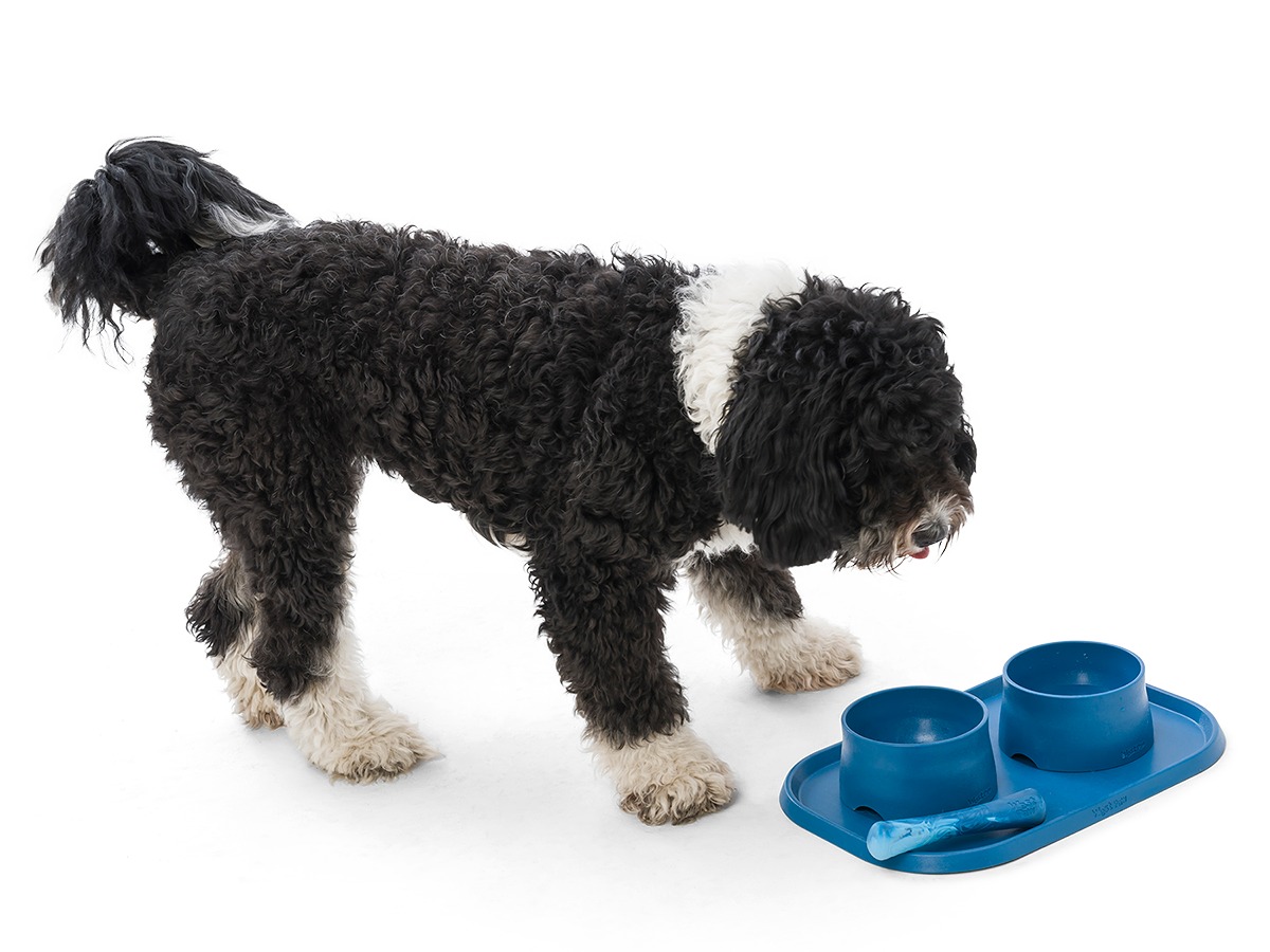 West Paw Design® Seaflex® Quiet Dog Toy - Durable & Non-Toxic Chew Toy for Aggressive Chewers, Perfect for Indoor Play & Anxiety Relief (Green)