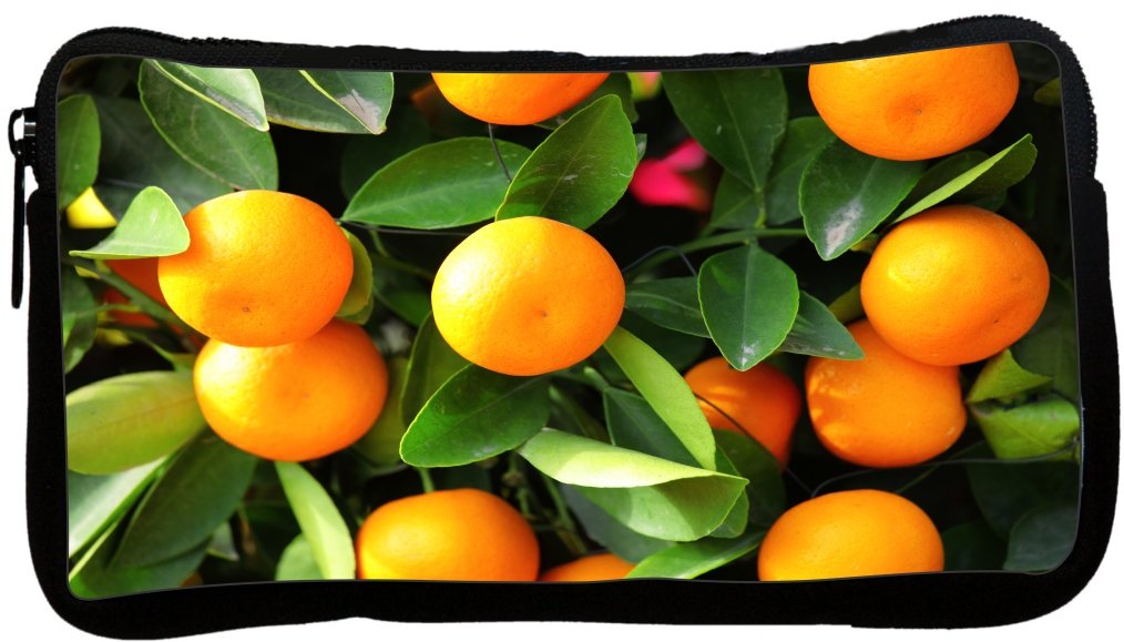 Premium Kumquat Chinese Festival Design Neoprene Pencil Case - DKY-NEO-PC45071 - Perfect for School, Office & Gift Giving