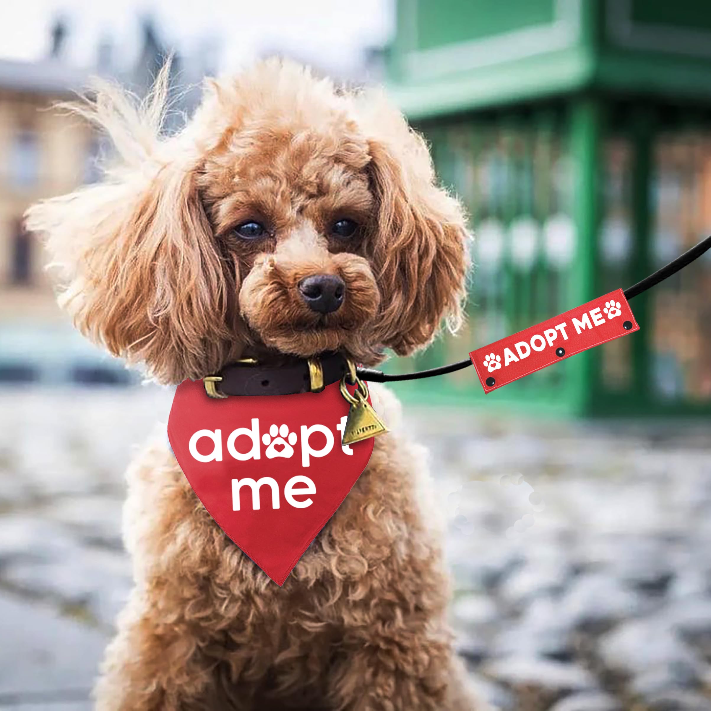 2 Pack Adopt Me Dog Bandana & Leash Set - Red Pet Scarf & Matching Leash for Small to Medium Dogs - Perfect for Pet Birthdays, Adoption Parties & Dog Lovers Gifts