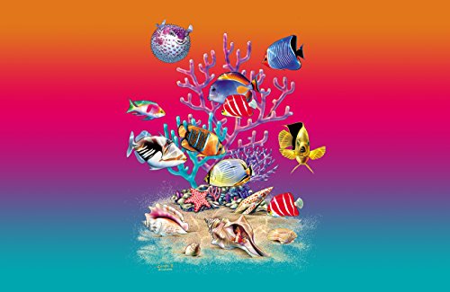 Coral Garden