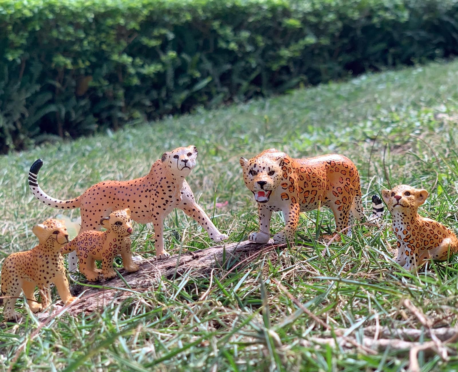 Gemini & Genius Jaguar Toy Set - 5Pcs Safari Animal Figures Including Cheetah & Leopard Family, Realistic Wildlife World Models for Kids | Perfect as Birthday Cake Toppers, Party Favors, Educational Play or Christmas Gifts