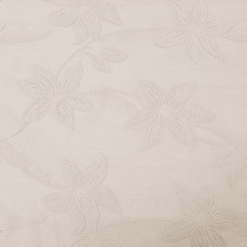 Lace Beige