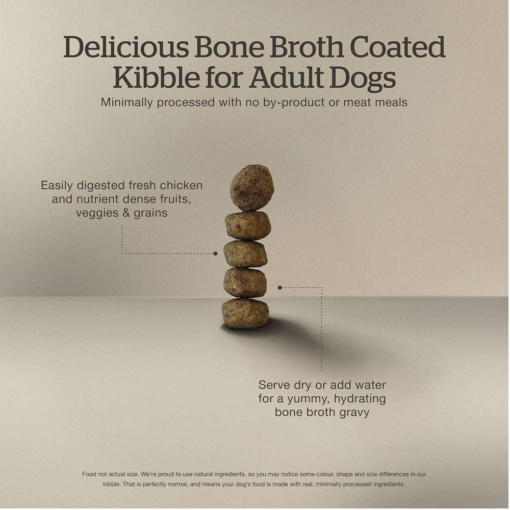 Premium Salmon & Bone Broth Coated Dry Dog Food for Adult Dogs - High Protein Grain-Free Recipe for Healthy Skin & Coat - Perfect for Active Dogs & Picky Eaters