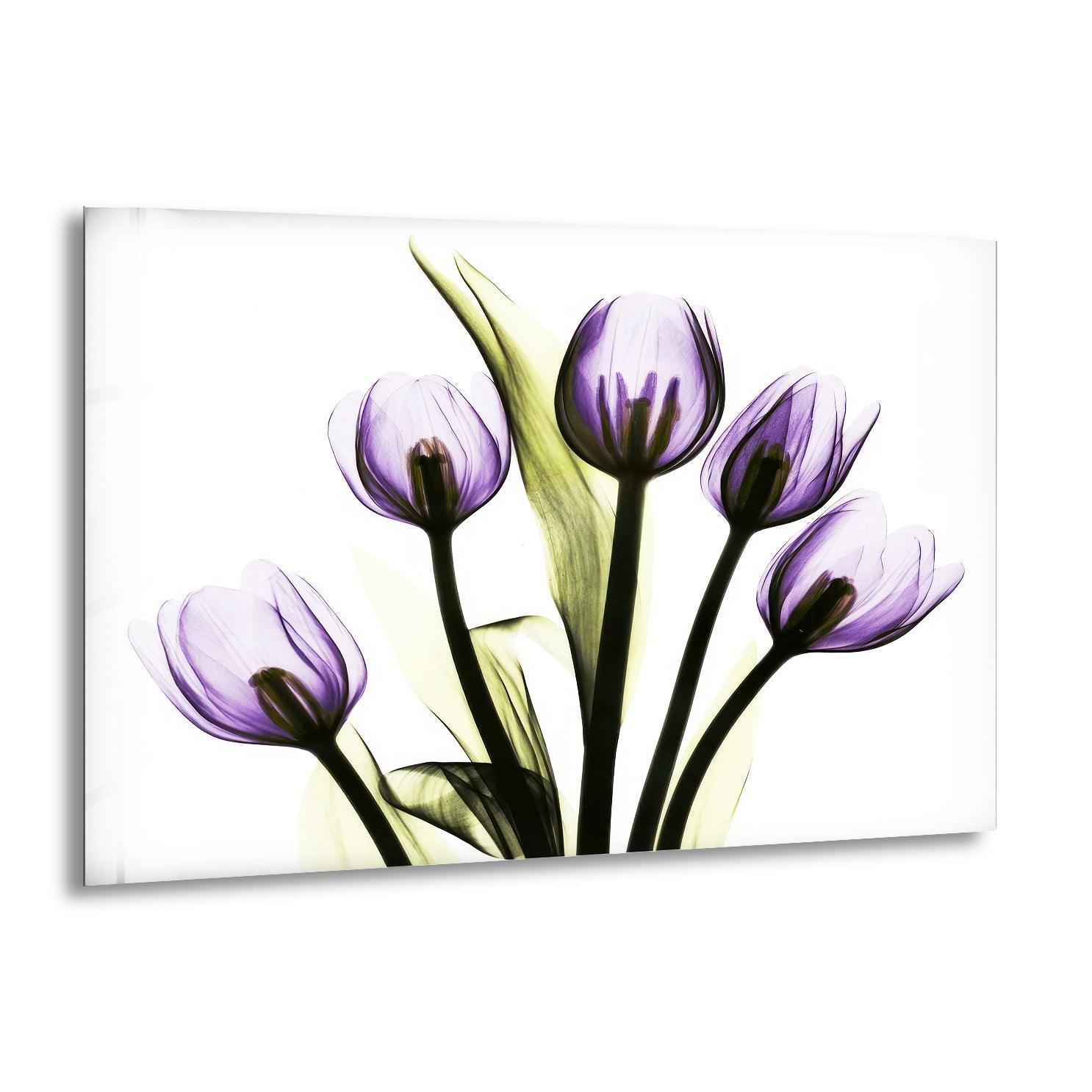 Albert Koetsier Xray Five Tulips In Purple Glass Wall Art - Modern Floral Canvas Print for Living Room, Bedroom & Office Decor
