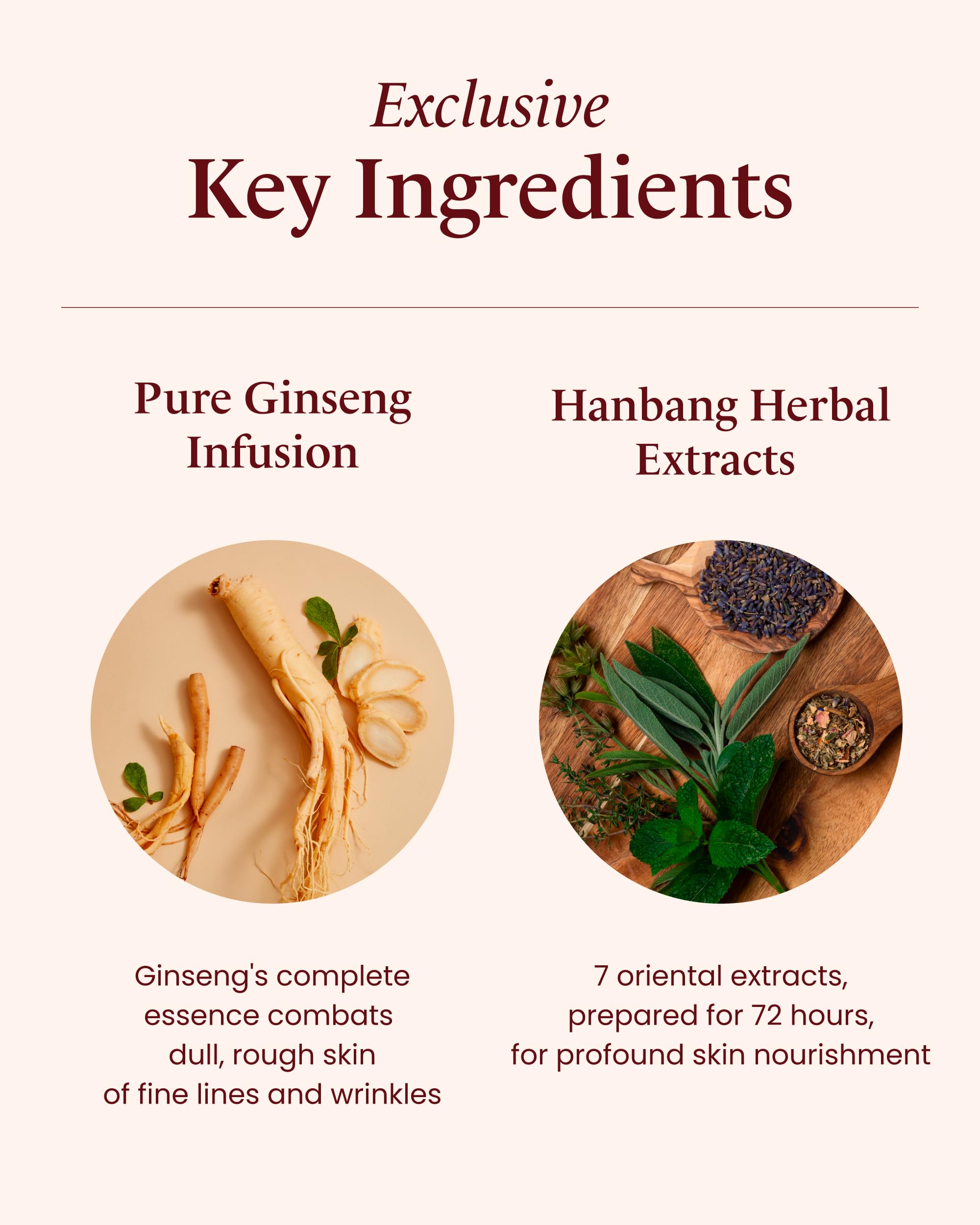 Sooryehan Bichaek True-Rejuvenating Skincare Set (206ml/6.97oz) - Korean Ginseng & Herbal Extract Anti-Aging Cream & Serum for Radiant, Firm & Elastic Skin | LG Beauty | Daily Hydration & Night Repair Routine
