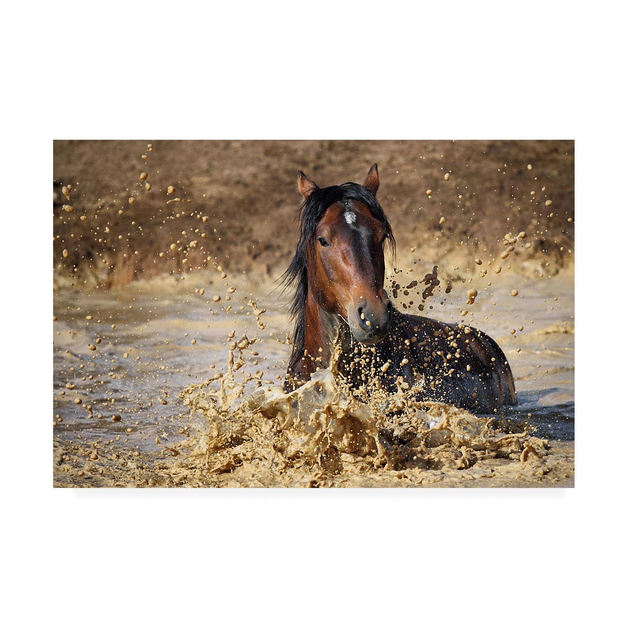 Trademark Fine Art - 30x47 Inch Horse in Water Painting by Vedran Vidak - Elegant Wall Decor for Living Room, Bedroom & Office