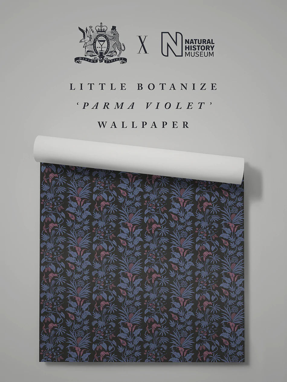 Little Botanist Wallpaper Sample - Peel & Stick Removable Wallpaper for Nursery, Bedroom, Office - Floral Botanical Design - Easy DIY Home Decor