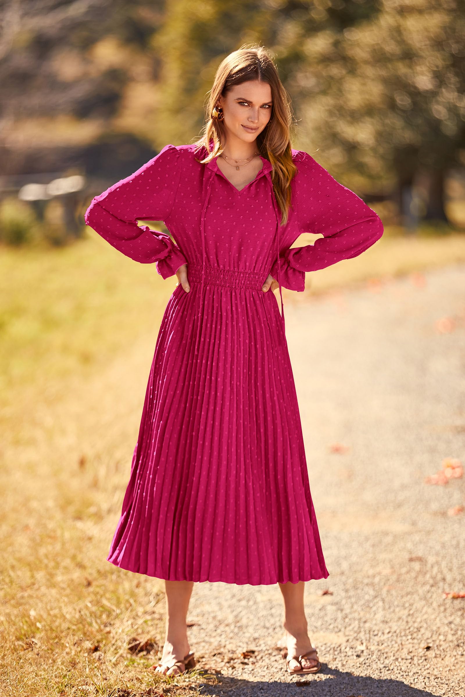 PRETTYGARDEN Women's Swiss Dot Pleated Midi Dress - Long Sleeve V-Neck A-Line Flowy Dress for Spring Fall 2025 | Casual Office Wear, Date Night & Special Occasions