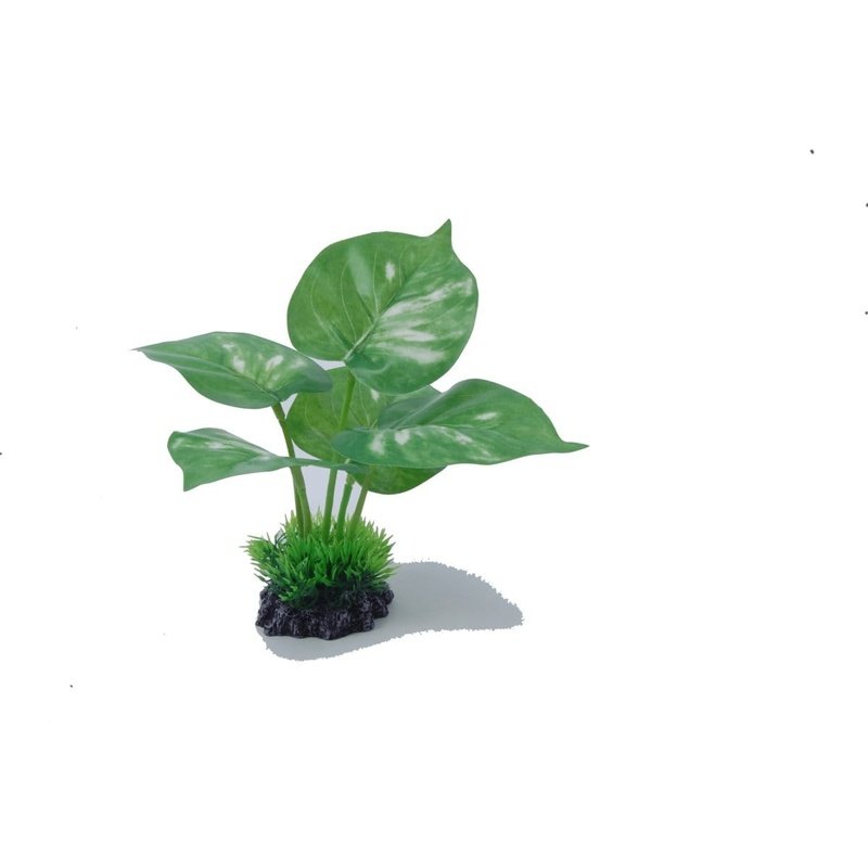 Aquatopia Aquadecor Ornament Medium 6 x 6 x 15cm - Elegant Fish Tank Decoration for Home & Office Aquariums - Perfect for Betta Fish, Goldfish, and Tropical Fish Tanks