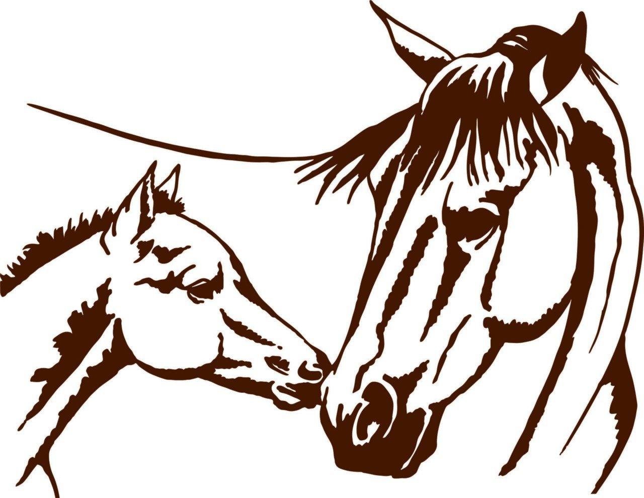Vinyl Wall Decals for Home Decor - Stallion Horse Foal Quote Stickers - 15x18 Inch Removable Wall Art - Perfect for Living Room, Nursery & Bedroom