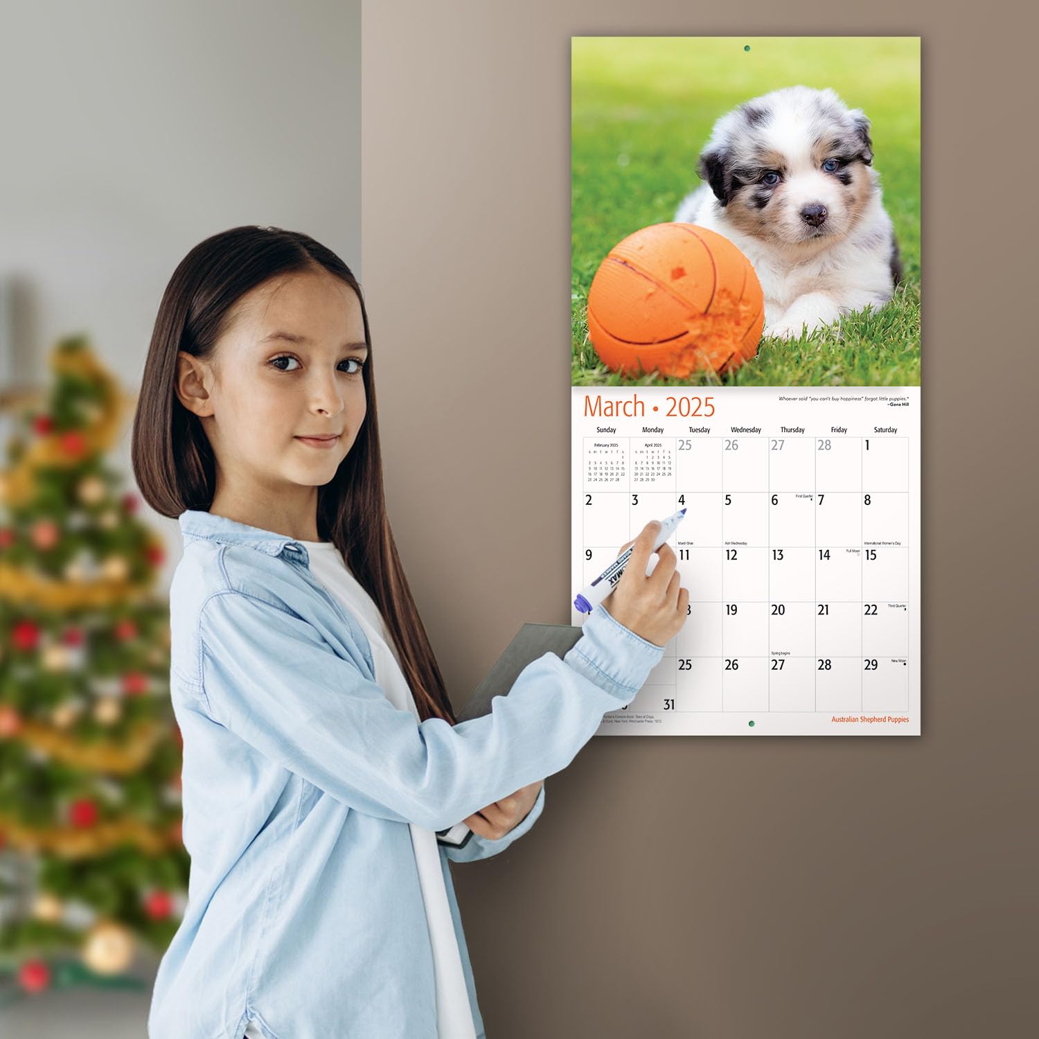 MICASA PRESS - 2025 Australian Shepherd Puppies Wall Calendar | 12