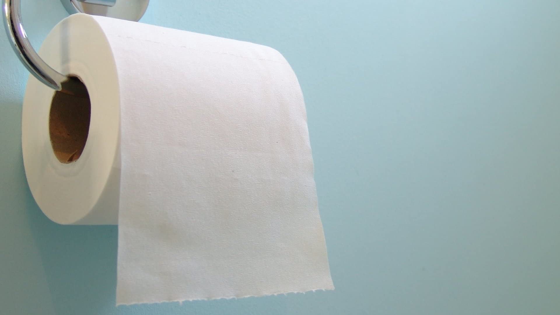 Premium 2-Ply White Bathroom Tissue Roll - Soft Toilet Paper for Home & Office Use, Bulk Pack of 96 Rolls | Perfect for Bathrooms, Guest Rooms & Commercial Spaces