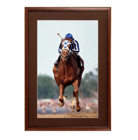30 x 40 Inch Wooden Picture Frame with Matboard - Premium Poster Display for Wall Decor, Art Prints, and Photos - Perfect for Living Room, Bedroom, or Office Decoration