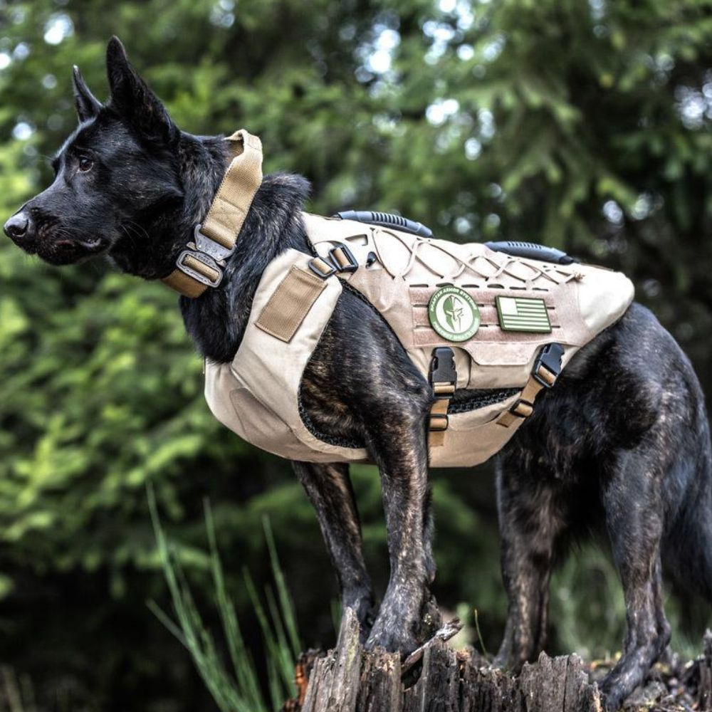 Titan K9 Dog Vest - Adjustable Tactical Harness for Large Dogs - Perfect for Training, Hiking & Outdoor Adventures