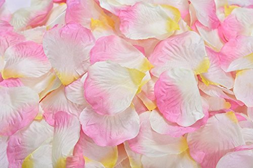Pink and White and Yellow