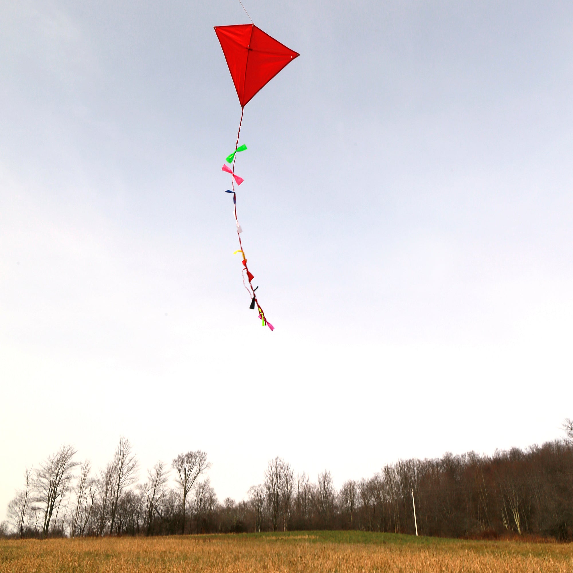 Huckleberry Red Kite - Premium Quality Outdoor Kite for Kids & Adults - Perfect for Beach, Park & Backyard Flying - Durable & Easy to Fly