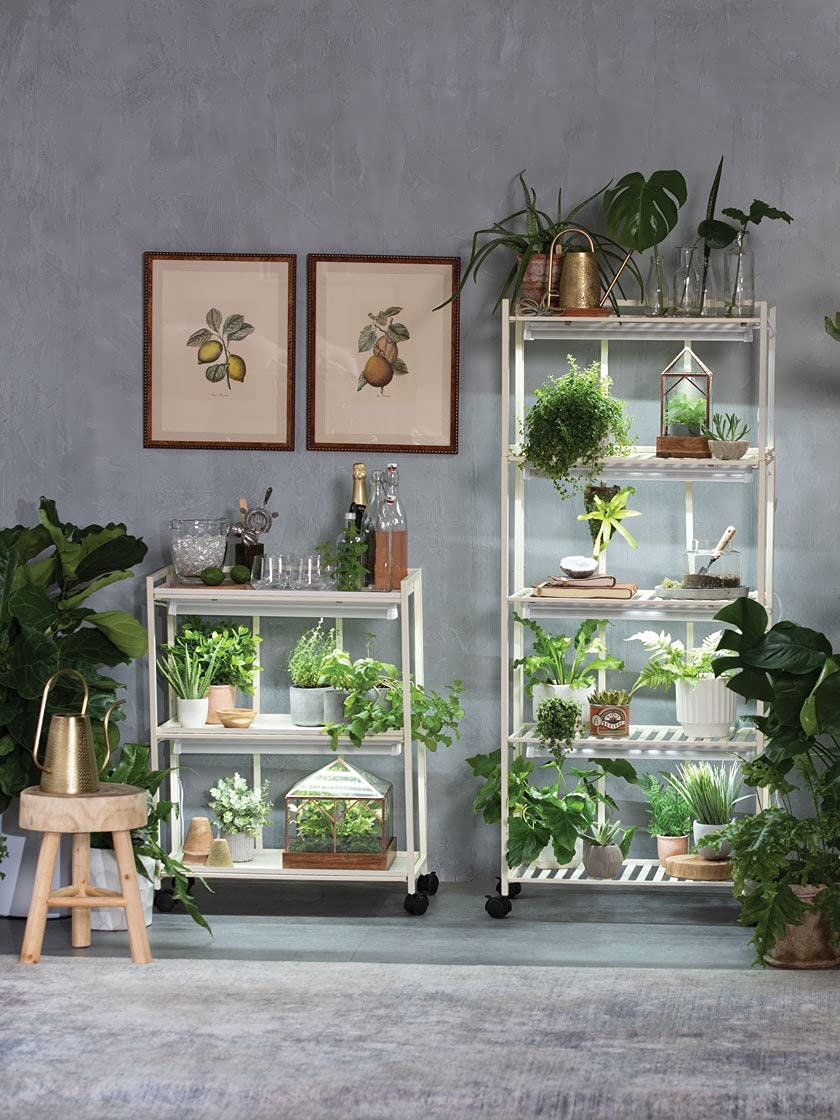 Oslo 2-Tier Metal Grow Light Plant Stand with Adjustable LED Fixtures & Wheels – Indoor Gardening Shelf for Herbs, Seedlings & Houseplants | Perfect for Home, Greenhouse & Urban Farming