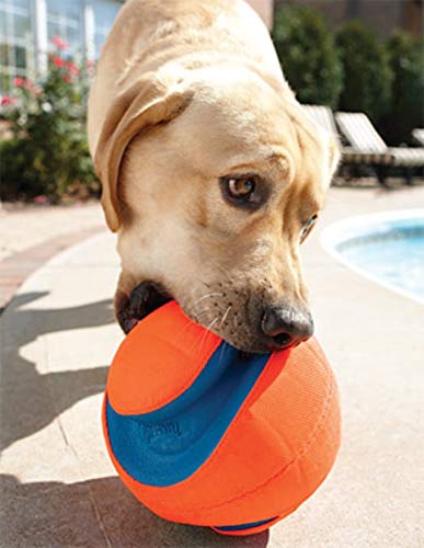 Chuckit! Kick Fetch Ball Dog Toy, Small (6 Inch) - Durable Outdoor Dog Ball for Active Play, Training & Exercise - Perfect for Beach, Park & Backyard Fun
