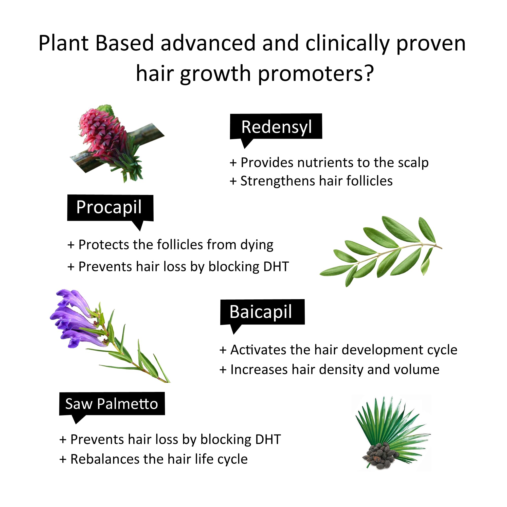 Beauty Secrets Saw Palmetto Hair Growth Serum for Women & Men - 30ml Natural Hair Loss Treatment with Redensyl, Biotin & Rosemary Oil | Stimulates Faster Growth, Reduces Hair Fall | Perfect for Thinning Hair & Scalp Care