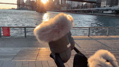 7AM Enfant Warmmuffs - Winter Baby Stroller Muff for Cold Weather Protection - Cozy and Soft Infant Stroller Accessory for Outdoor Walks, Shopping, and Park Visits