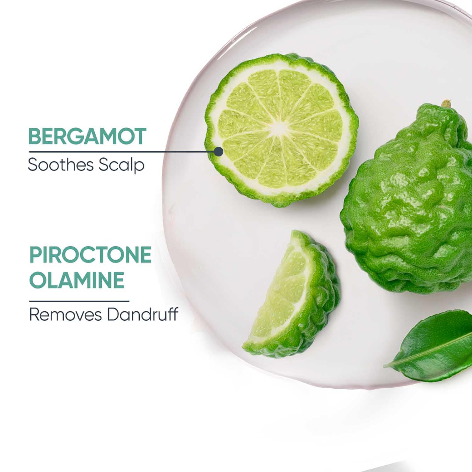 Biolage Professional Scalppure Anti-Dandruff Shampoo for Dry & Itchy Scalp - Flake-Free Hair Care with Pyrithione Zinc - Ideal for Daily Use & Sensitive Scalp