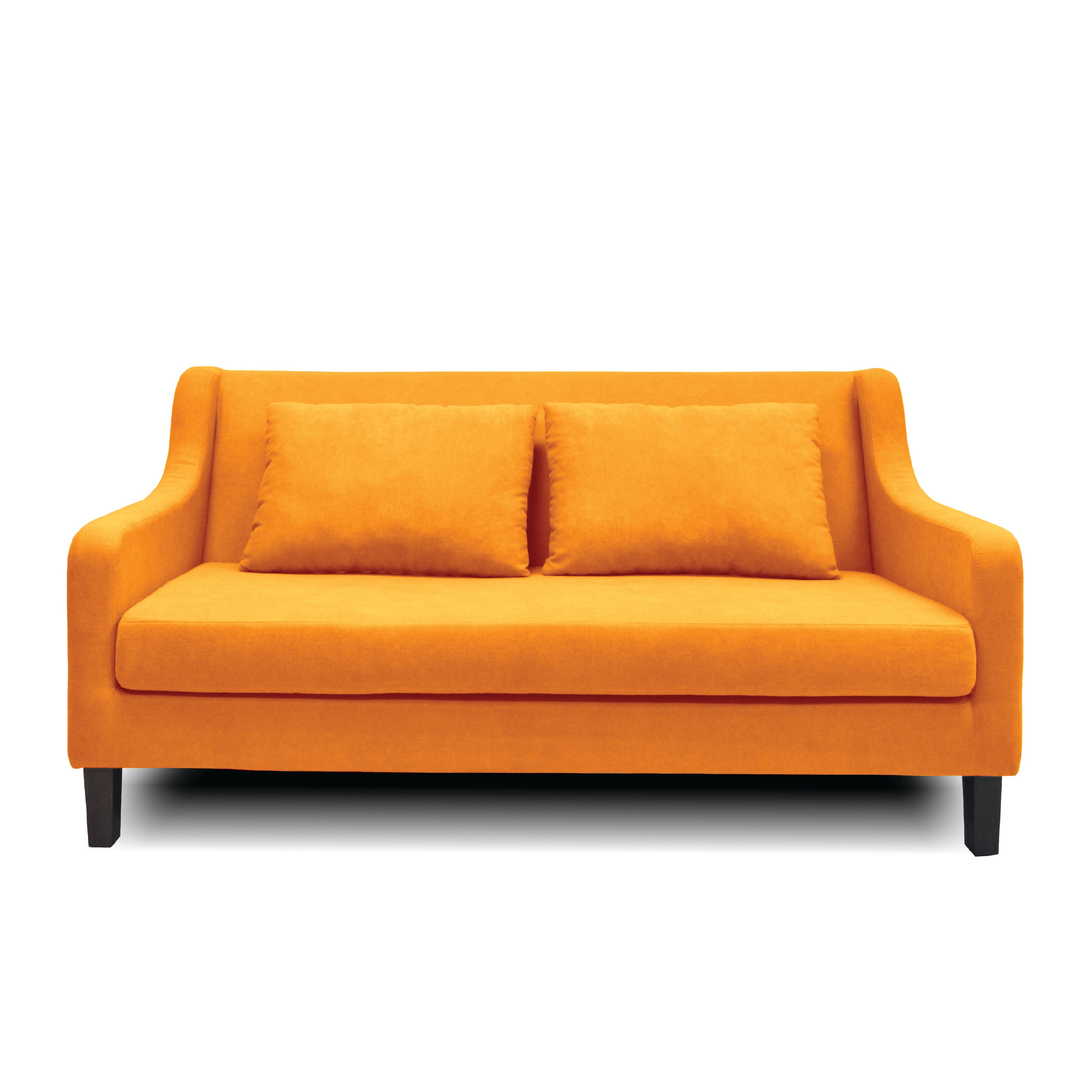 Orsani 2-Seater Sofa with AquaClean Technology - Modern Comfortable Loveseat for Living Room, Lounge & Small Spaces