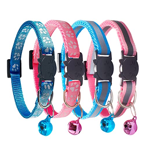 2 Pink + 2 Sky Blue