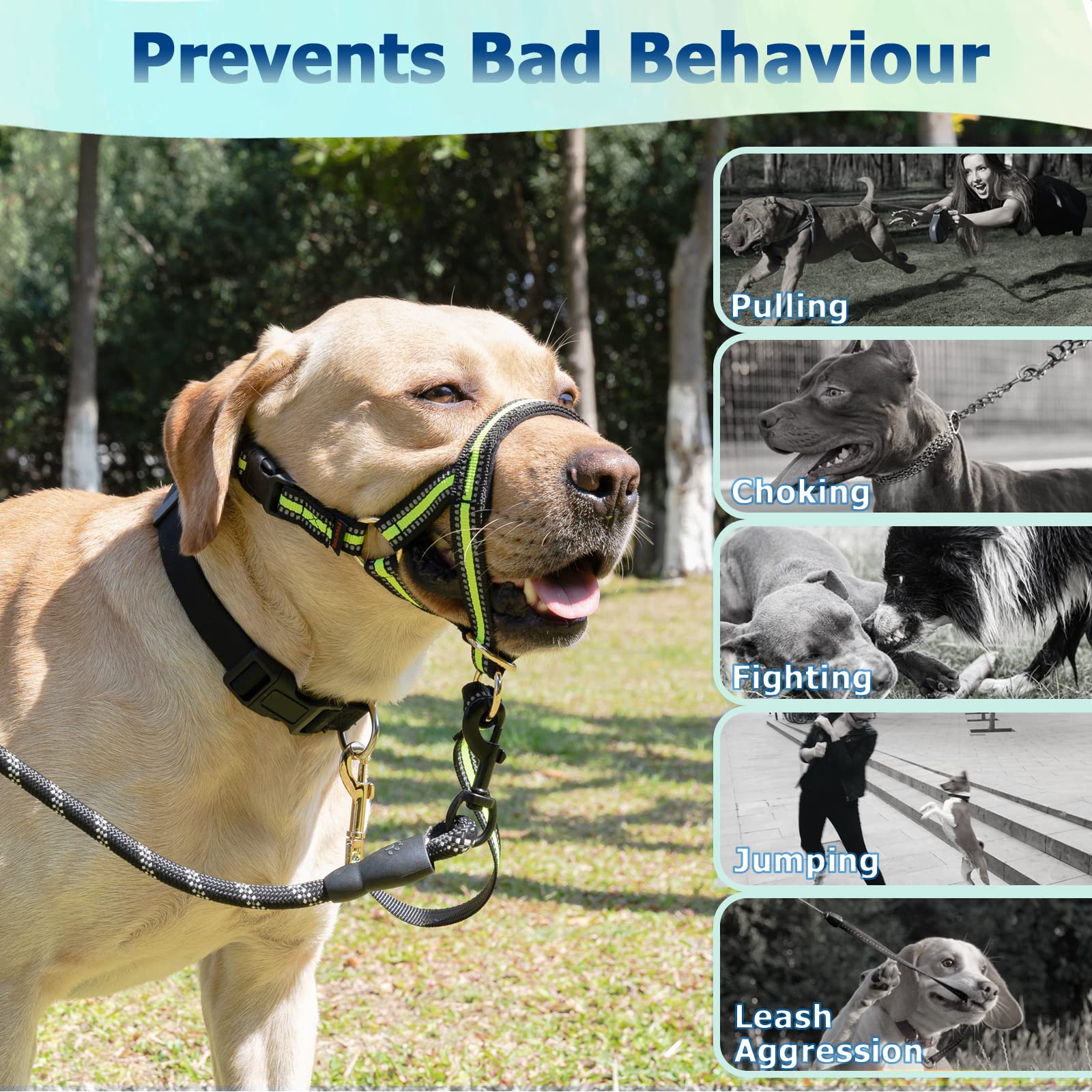 BARKLESS No-Pull Dog Muzzle Leash & Head Halter for Medium to Large Aggressive Dogs - Adjustable Gentle Face Harness Stops Pulling & Choking During Walks (Size S, Green) - Perfect for Training, Walking & Controlling Strong Pullers Safely