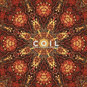 Coil Stolen & Contaminated Songs - Underground Electronic Music Album for Dark Ambient & Experimental Music Lovers