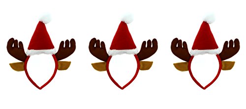 Reindeer With Santa Hat
