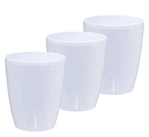 White - Set of 3