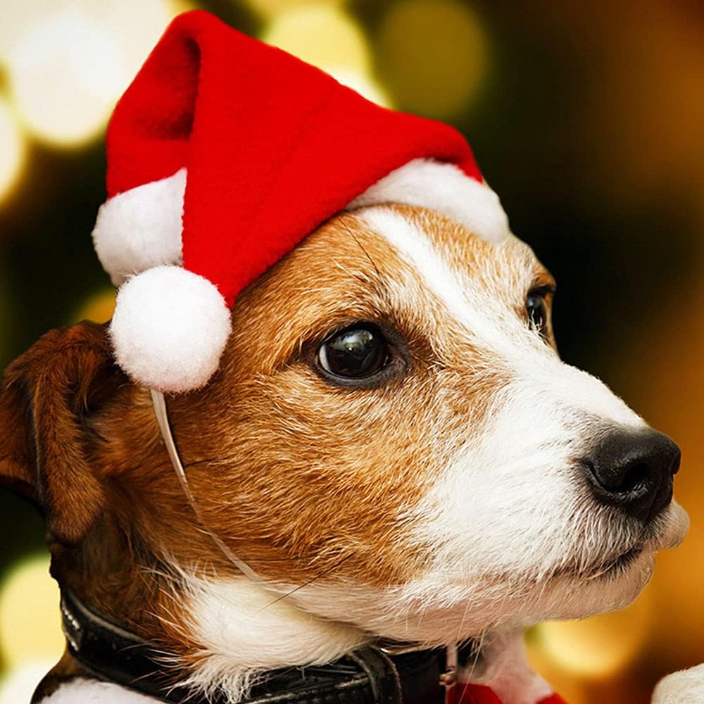Festive Pet Santa Hats for Cats & Dogs - 2 Pack Red Christmas Costume Hats (5.5