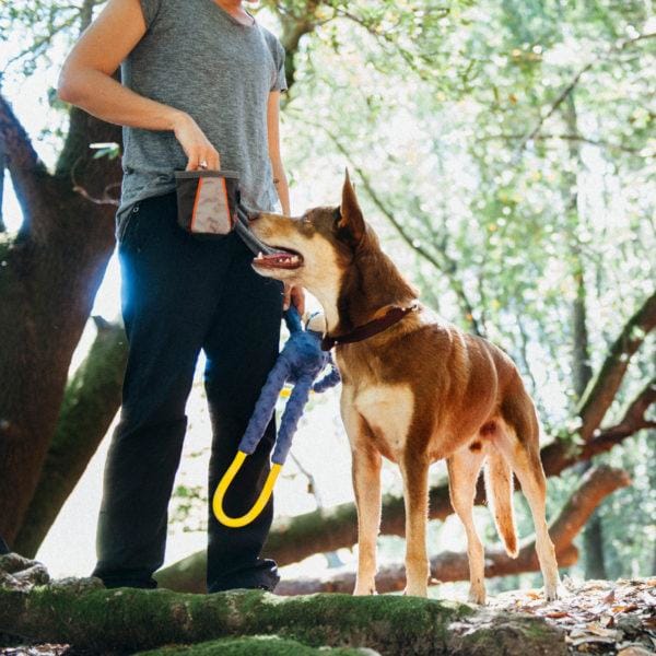 ZippyPaws Adventure Graphite Dog Treat Pouch - Leak Proof & Odor Resistant Pet Treat Bag for Training, Walking & Outdoor Activities (10% OFF)
