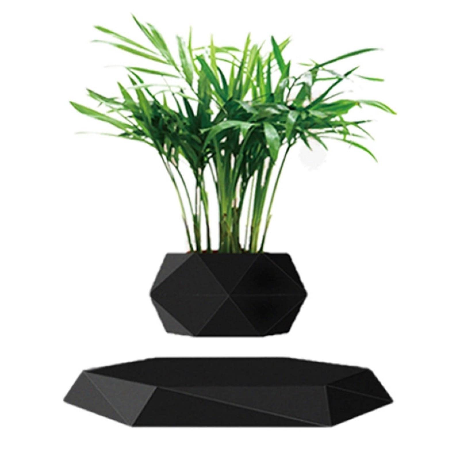 Nordic Levitating Planter - Black Geometric Floating Flower Pot for Air Plants, Indoor Succulents | Modern Home & Office Desk Decor for Living Room, Bedroom, Workspace
