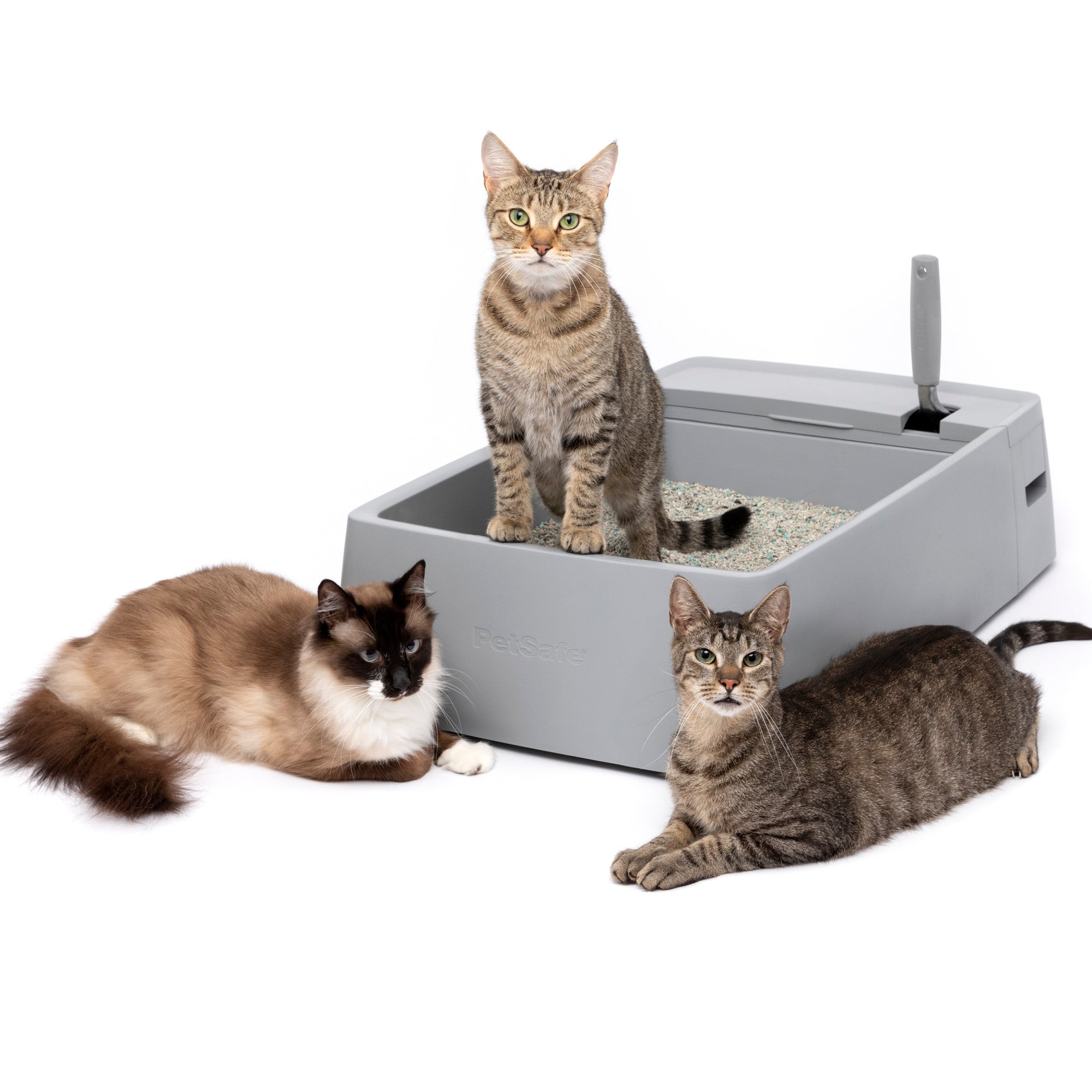 Extra Large Multi-Cat Litter Box with Waste Compartments & Metal Scoop | PetSafe® | Ideal for Multiple Cats, Easy Cleanup & Odor Control