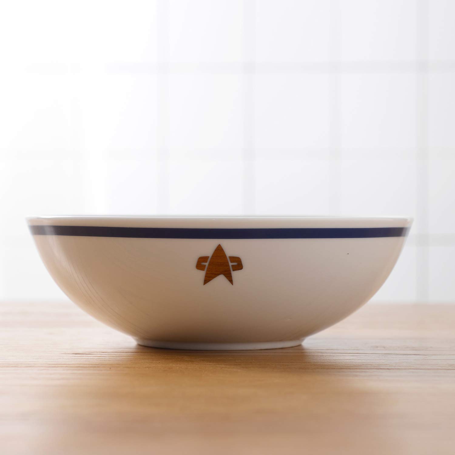 Star Trek The Next Generation 16-Piece Porcelain Dinner Set - Plates, Bowls & Cups for Sci-Fi Fans | Perfect for Star Trek Themed Parties, Collectors & Everyday Use