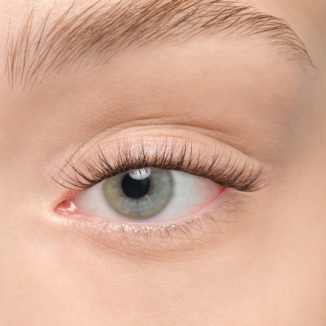 Plushy Gossamer® False Eyelashes - Natural Wispy Lashes for Dramatic Eye Makeup | Perfect for Parties, Weddings & Special Occasions
