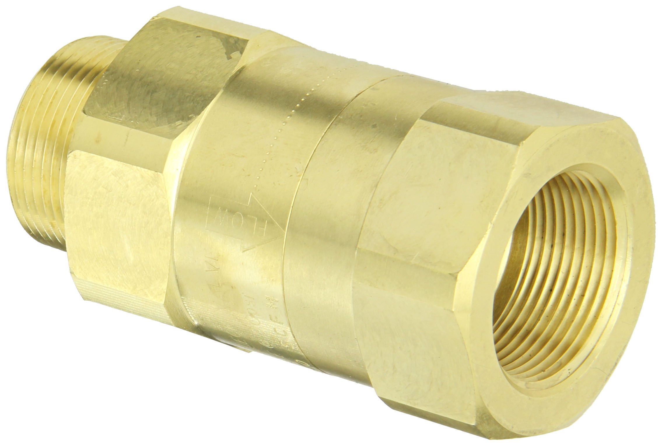 Dixon Valve SCVM10 Brass Safety Check Valve 1-1/4