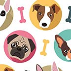 Dogs Treat